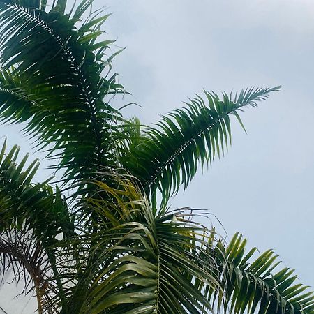 Paraiso Pie De La Popa Cartagena Εξωτερικό φωτογραφία