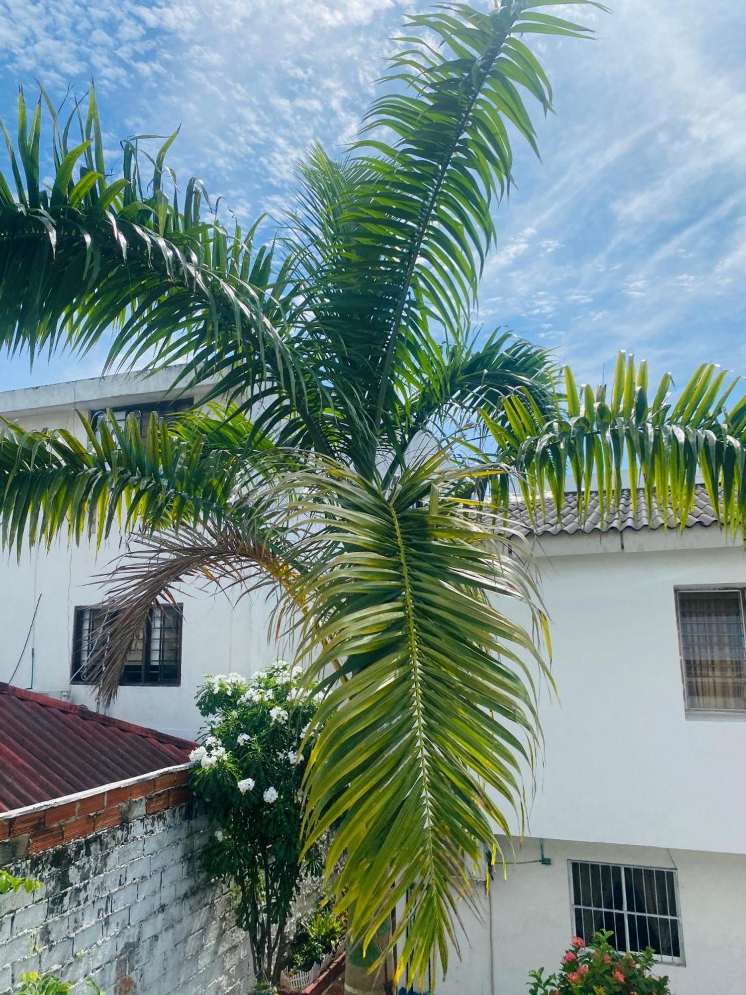 Paraiso Pie De La Popa Cartagena Εξωτερικό φωτογραφία
