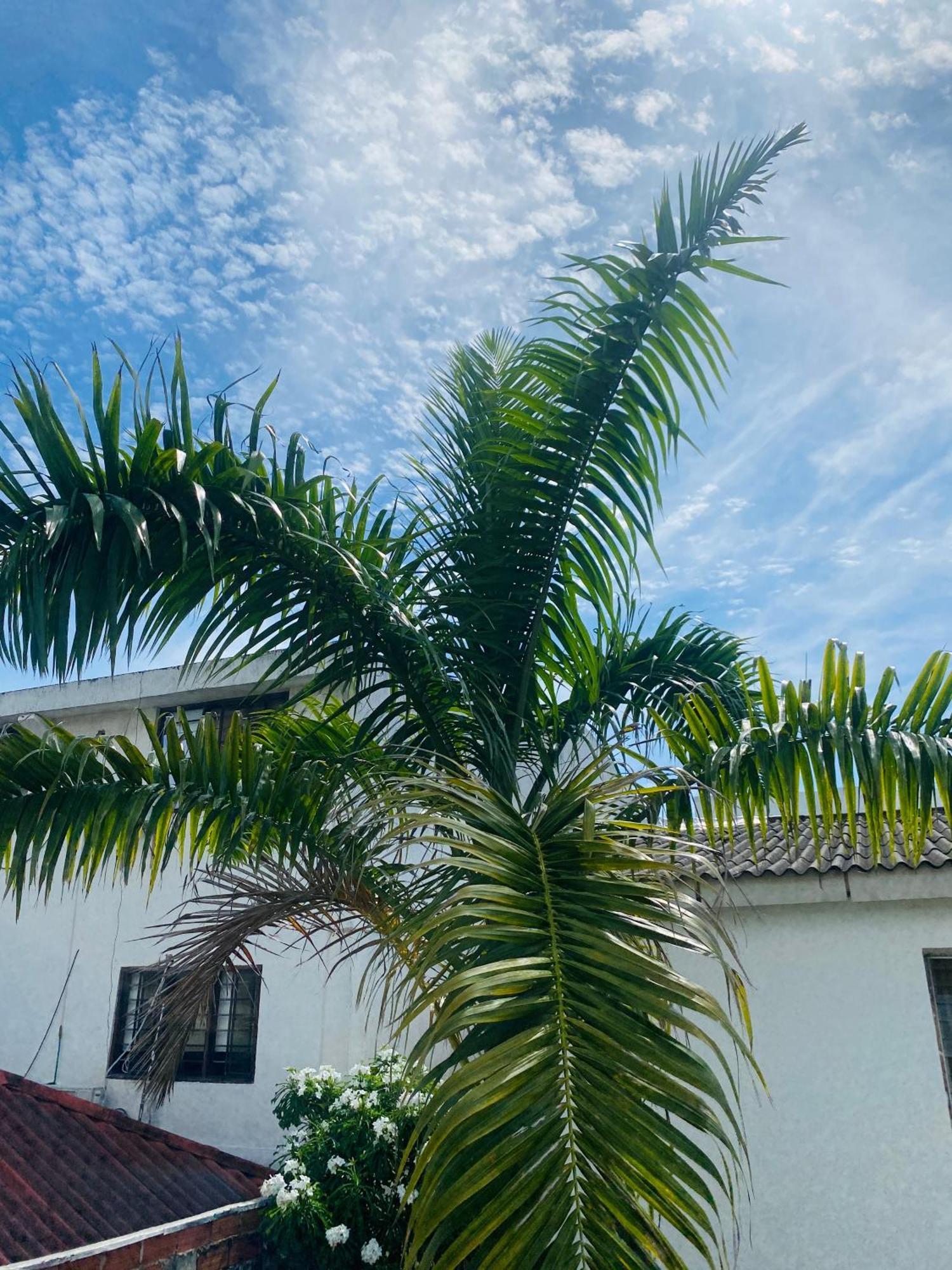 Paraiso Pie De La Popa Cartagena Εξωτερικό φωτογραφία