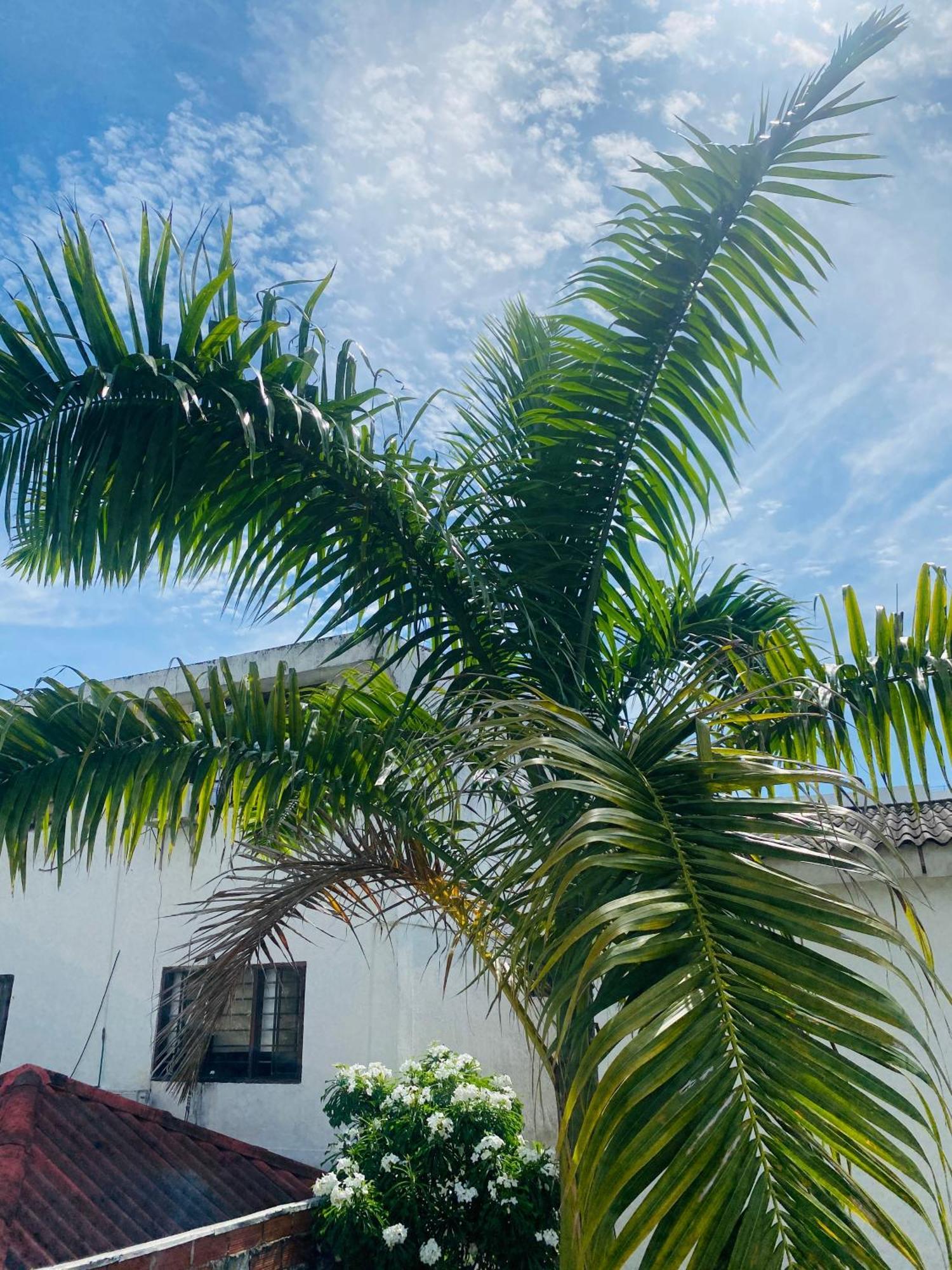 Paraiso Pie De La Popa Cartagena Εξωτερικό φωτογραφία